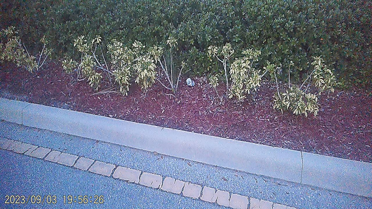 Roger Sweeney, Berkley Howard, Zeth Stone, Charles Cruz, Melcarski Michael